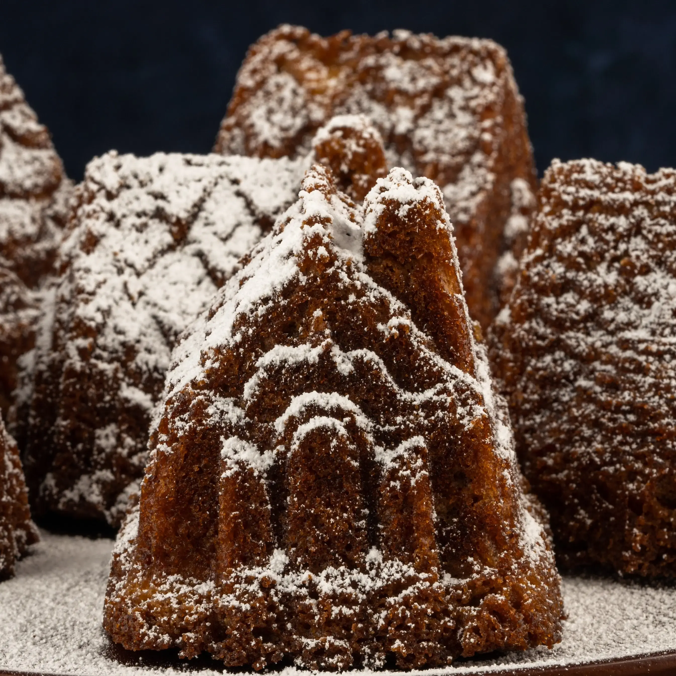 House shaped cakes for christmas